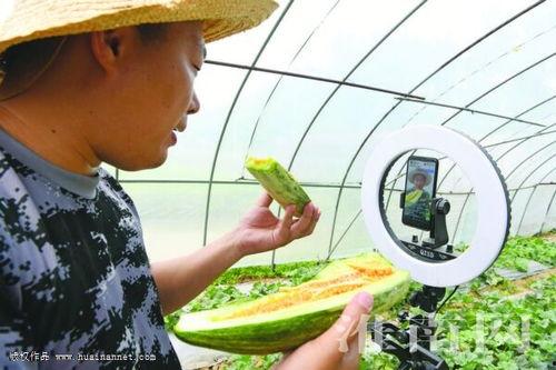 贵妃在线吃瓜网盘下载,揭秘吃瓜网盘下载的神秘世界