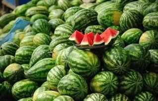 今日吃瓜网红黑料往期福利,从往期福利看吃瓜界的风云变幻