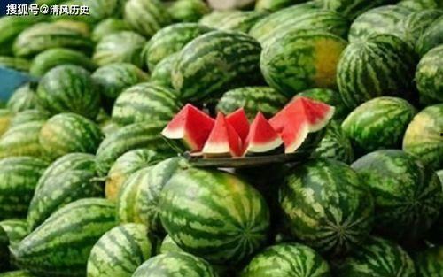 有什么网站吃瓜网,吃瓜网带你领略网络八卦盛宴