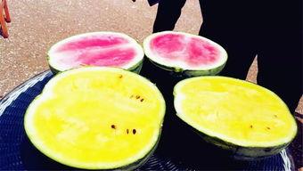 国外吃瓜爆料叫什么