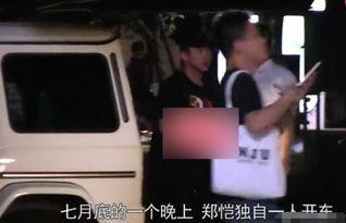 吃瓜爆料郑恺,娱乐圈幕后真相大揭秘